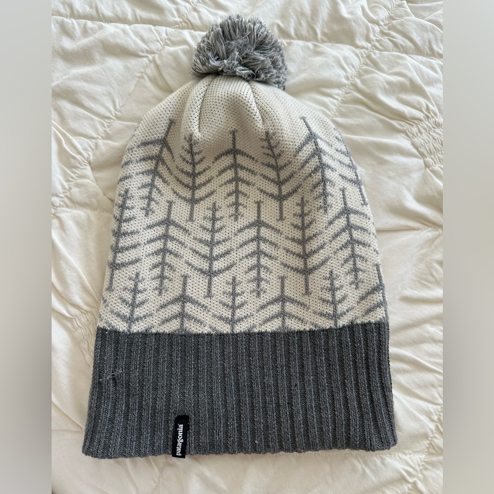 Patagonia Beanie
